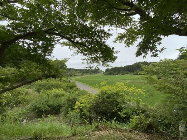 日本の美を伝えたい　６５６