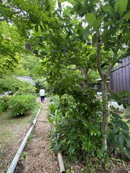 日本の美を伝えたい 651